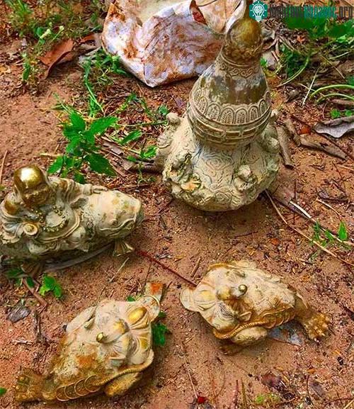 Số "cổ vật" được phát hiện.