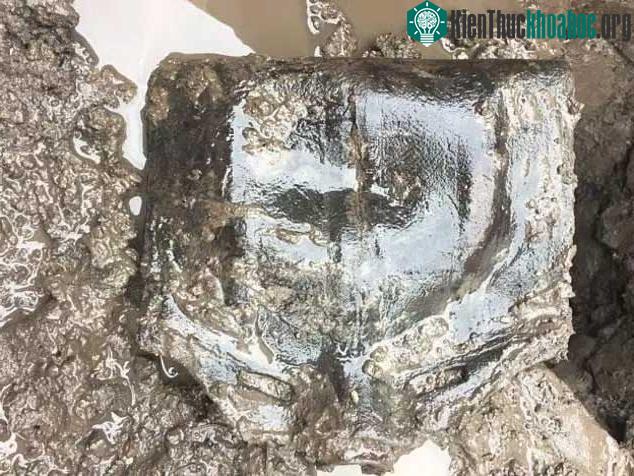 Một chiếc túi da cổ đại