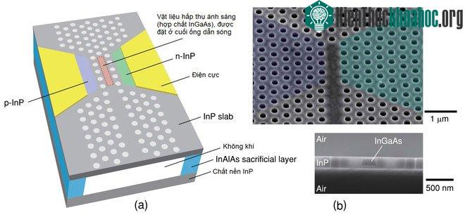 Hình ảnh minh họa cho diode quang học và hình ảnh dưới kính hiển vi.