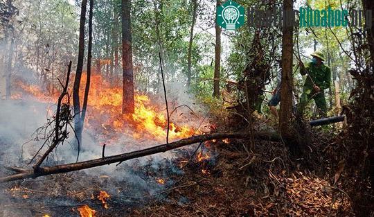 Nắng nóng, gió lớn việc dập lửa gặp khó khăn