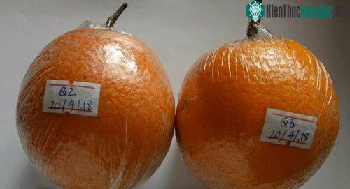 Quả cam V2 sau 4 tháng bảo quản bằng công nghệ Hyokan (tháng 4 - 8/2018).