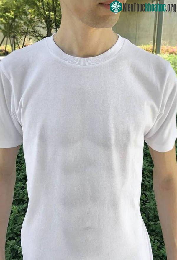Áo phông khoe body 6 múi cho nam giới.