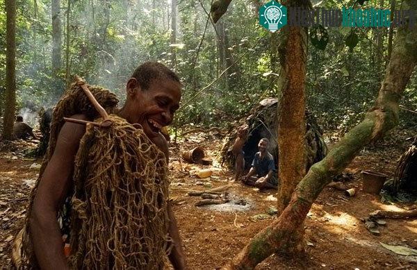 Phần lớn những thợ săn cạnh tranh với tộc người Baka đều tới từ tộc người Bantu
