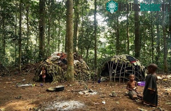 Những đứa trẻ sống trong khu rừng rậm châu Phi chỉ biết làm bạn với cây cỏ