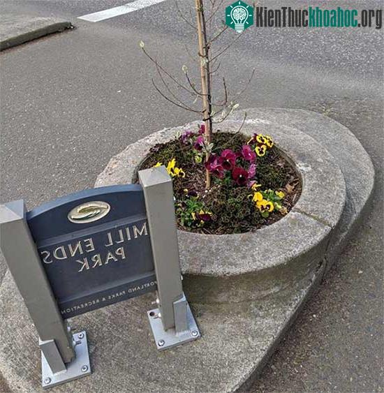 Công viên nhỏ nhất thế giới nằm ở Portland, bang Oregon, Mỹ.
