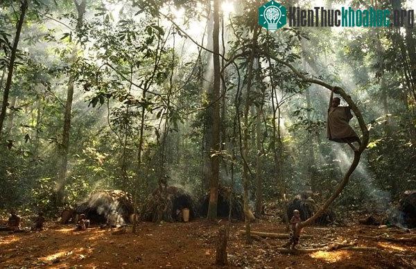Những đứa trẻ sống trong khu rừng rậm châu Phi chỉ biết làm bạn với cây cỏ