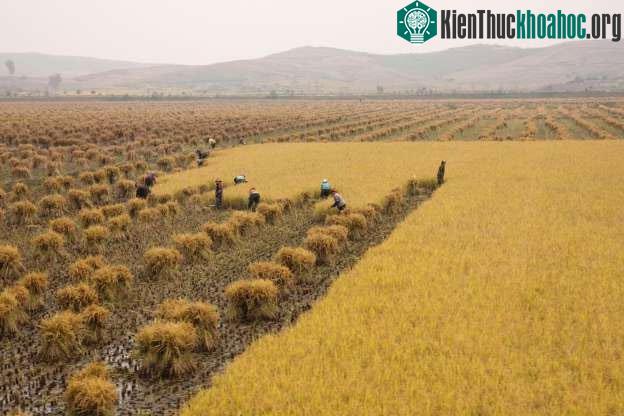 Vùng nông thôn&nbsp;Triều Tiên nhìn từ tàu tới Bình Nhưỡng.