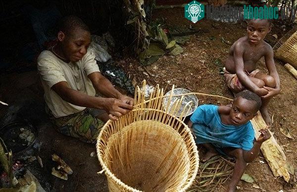 Nếu muốn tiếp tục sống trong rừng, họ chỉ có thể nhận làm công việc săn bắn thuê....