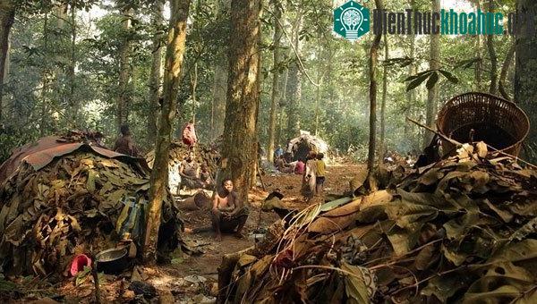 Cuộc sống của tộc người Baka còn muôn vàn khó khăn vì phải đối mặt với sự kì thị từ bên ngoài.