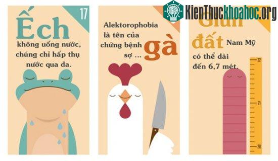 Những sự thật khiến bạn phải đau khổ vì chẳng biết gì về thế giới động vật ảnh 2