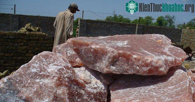 Muối Himalaya vừa được đem ra khỏi mỏ.