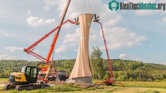 Một nhóm gồm 4 thợ tiến hành lắp ráp các tấm gỗ dán thành hình tòa tháp cao 14 mét.