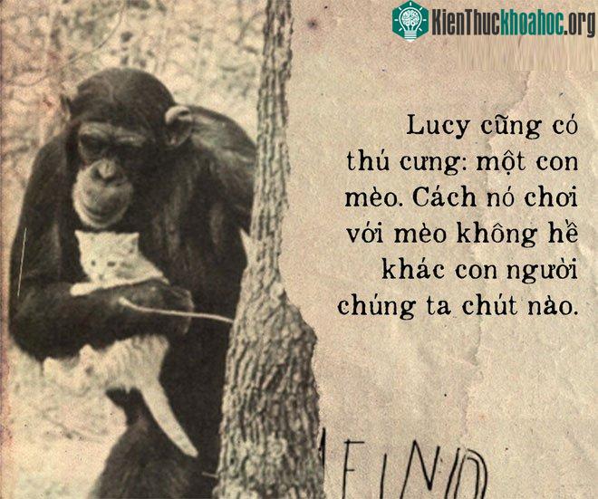 Lucy cũng có 1 con thú cưng đó là mèo