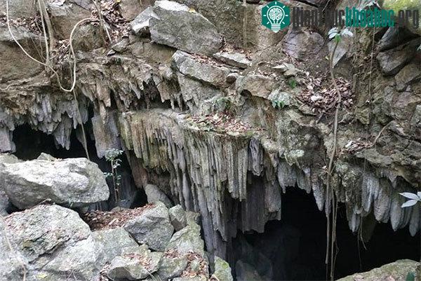 Khu vực vào hang Cô Lum hoang sơ, chưa được con người biết tới.