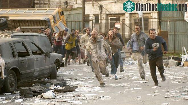 Nếu dịch zombie xảy ra, đâu là nơi trú ẩn an toàn nhất? Các nhà thống kê đã có câu trả lời! ảnh 2