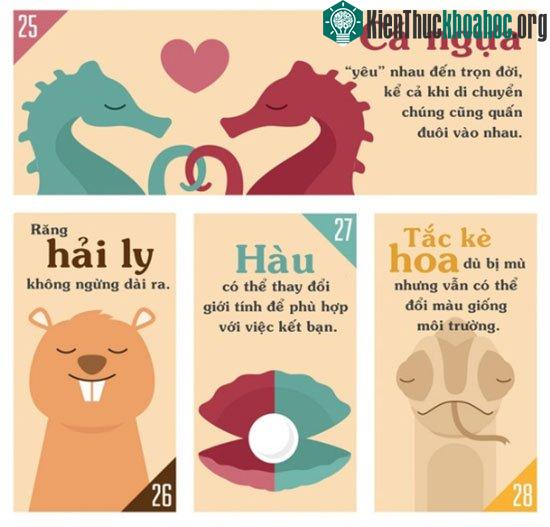Những sự thật khiến bạn phải đau khổ vì chẳng biết gì về thế giới động vật ảnh 3