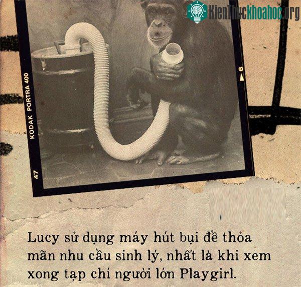 Lucy dùng máy hút bụi để thỏa mãn nhu cầu sinh lý