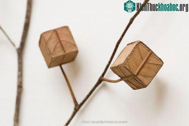 Cube Tree No.5