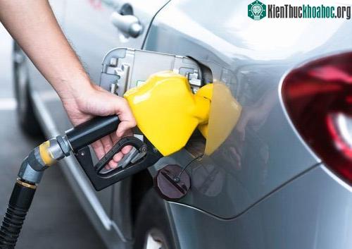 Nhiên liệu sinh học (biofuels)