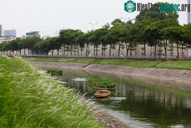 Cũng theo ông Nam, chiều ngày 9/7, thấy mực nước sông Tô Lịch dâng cao và hết sạch mùi hôi thối