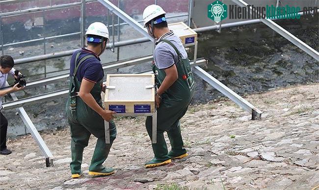 Các tấm giá thể được áp dụng công nghệ sinh học sẽ giúp bảo vệ, không cho nước cuốn trôi các vi sinh vật có lợi khi xả nước.
