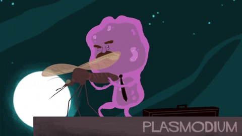 Plasmodium, tác nhân bệnh sốt rét