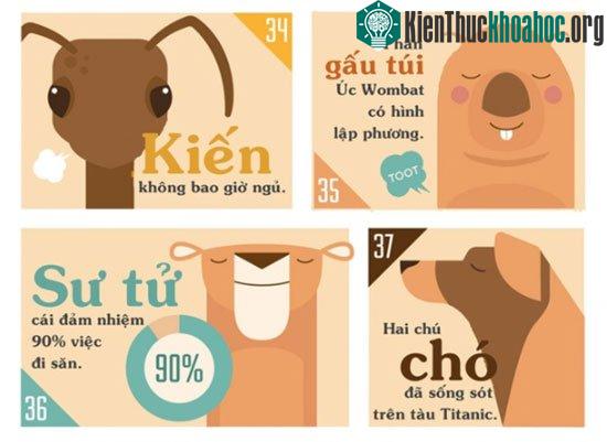 Những sự thật khiến bạn phải đau khổ vì chẳng biết gì về thế giới động vật ảnh 4