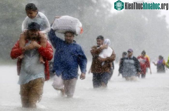 Dòng người lội bộ qua dòng nước lũ do siêu bão Harvey gây ra
