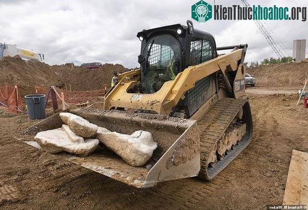 Bảo tàng khoa học và tự nhiên Denver hiện có 115,000 hóa thạch khủng long, thực vật, và động vật có vú.