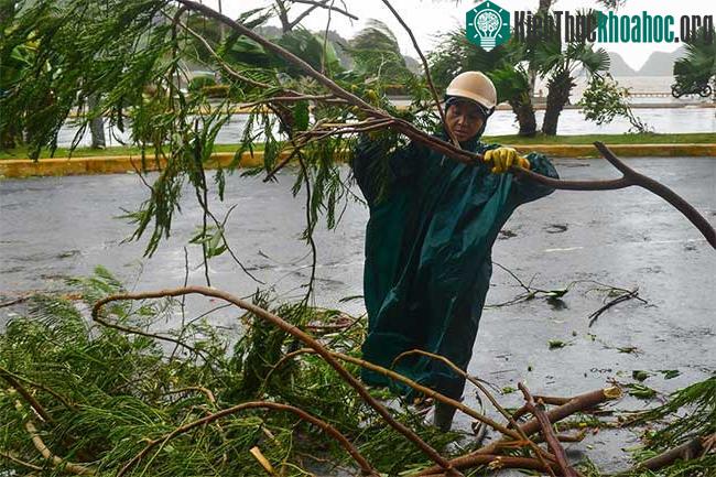 Chị Nguyễn Thị Thanh, công nhân vệ sinh môi trường cho biết đã đi làm từ 4h.
