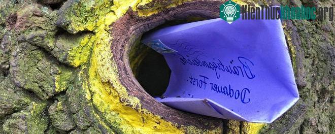 Một lá thư nằm trên hốc cây, chờ người thích hợp mở ra.