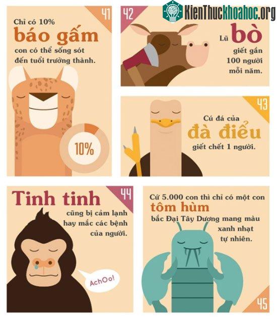 Những sự thật khiến bạn phải đau khổ vì chẳng biết gì về thế giới động vật ảnh 5