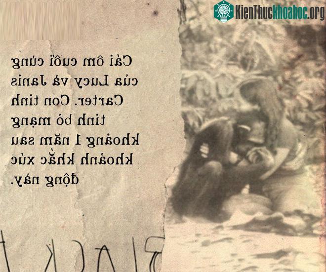Cái ôm cuối cùng của tinh tinh Lucy và Janis Carter