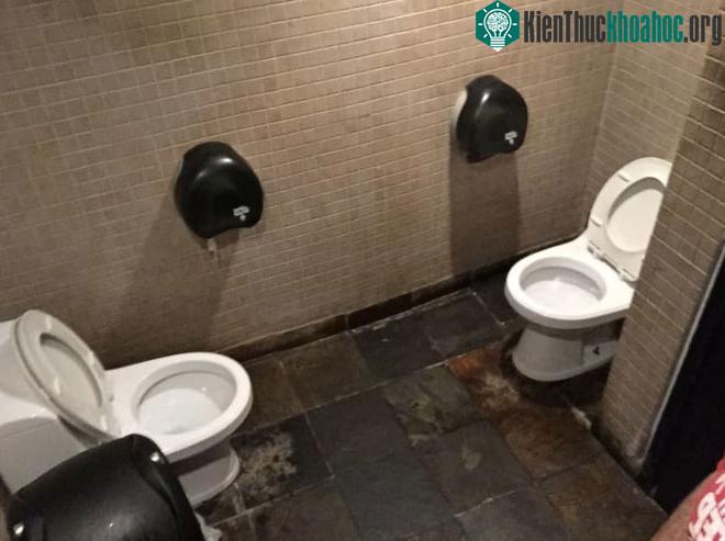 Cách bài trí bồn cầu dành cho những người thích đối thoại mọi lúc, mọi nơi
