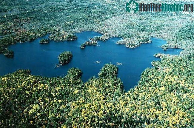 Cụm đảo Sheep Lake