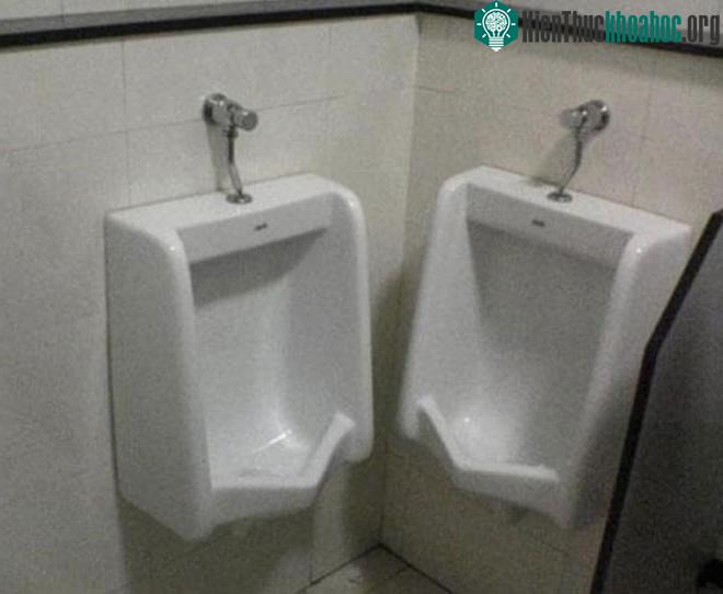 Bồn tiểu này cũng thế