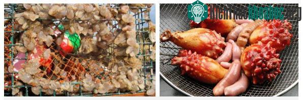 Lúc này, hải tiêu mới chính thức là không (chủ động) di chuyển gì nữa.