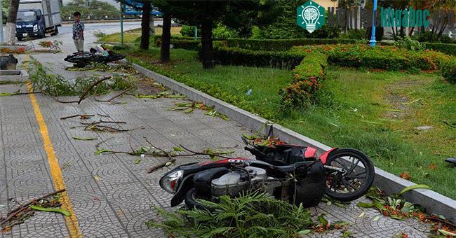 Người dân ở đây có thói quen để xe máy ngoài trời. Nhiều chiếc bị gió quật đổ.