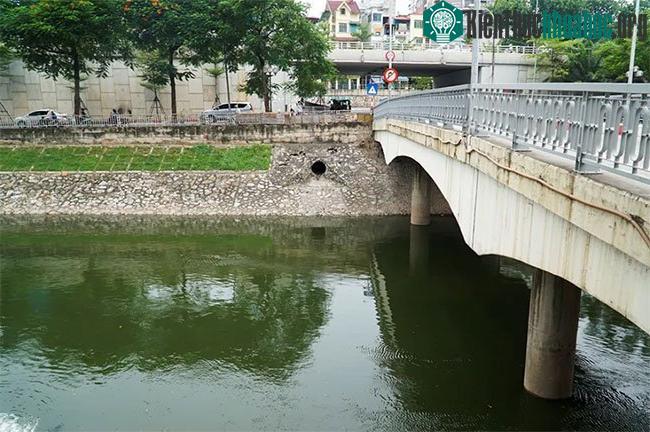 Làn nước trong xanh khác hẳn so với màu đen thường ngày.