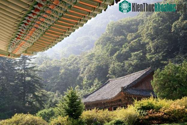 Núi Myohyangsan.