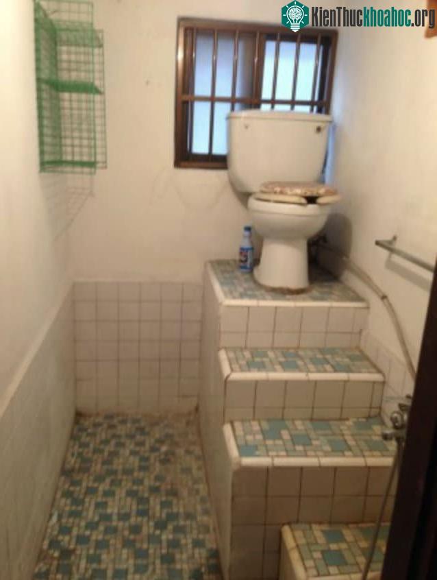 Ngai vàng này ở một đẳng cấp hoàn toàn khác so với chúng ta