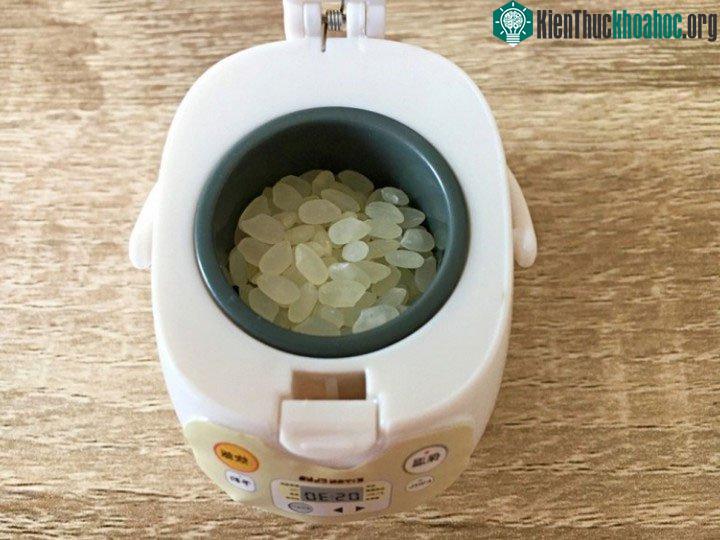 Thứ tốt nhất có thể bỏ vào chiếc nồi cơm điện mini này chính là gạo.