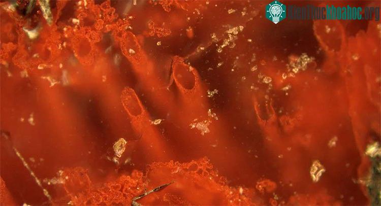 Enzyme Archaeal tìm được ở Kamchatka có khả năng oxy hóa carbon monoxide và tạo thành hydro. (Ảnh minh họa)