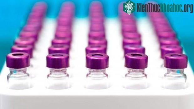 Virus HPV là nguyên nhân gây ra trung bình 34.800 ca ung thư mỗi năm.