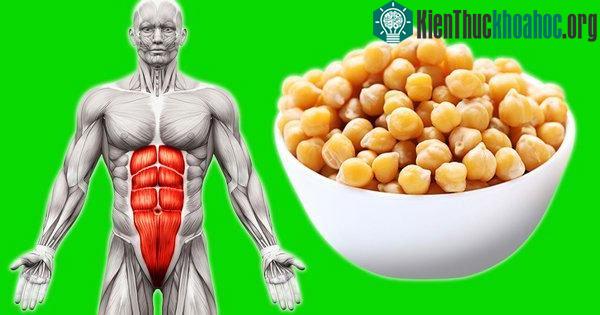 Đậu gà giúp giảm sự thèm ăn và khiến bạn ăn ít hơn, từ đó có thể dẫn đến giảm cân.
