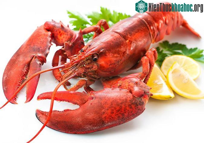 Sự thay đổi sắc tố trên cơ thể tôm hùm khi chúng được đun nóng, nấu chín.