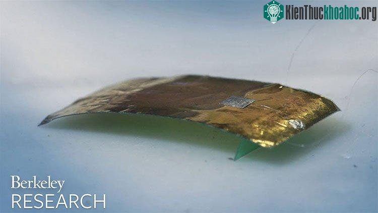 Mẫu robot dài 3cm và rộng 1,5cm có thể bò thoăn thoắt trên sàn nhà giống hệt gián thật.