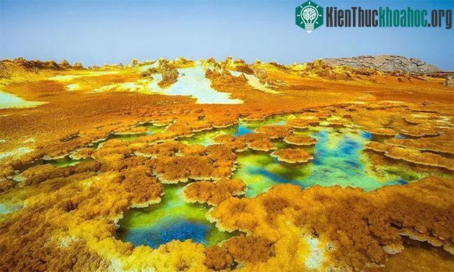 Chân dung 5 sinh vật địa cầu sống khỏe ở… hành tinh khác ảnh 0