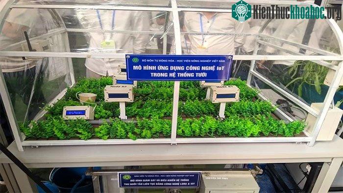 Mô hình tưới tiêu tự động ứng dụng công nghệ IoT.