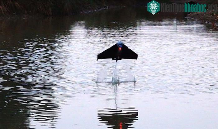 Robot "cá bay" cỡ nhỏ có thể sử dụng nước để tạo ra khí và tự phóng lên từ mặt nước.